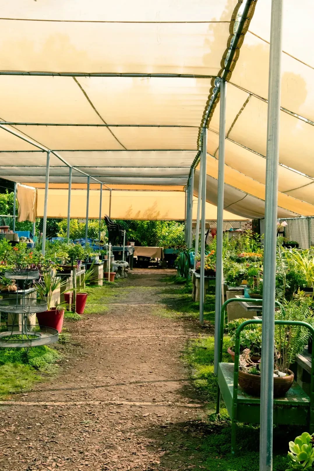 植栽・花壇づくり